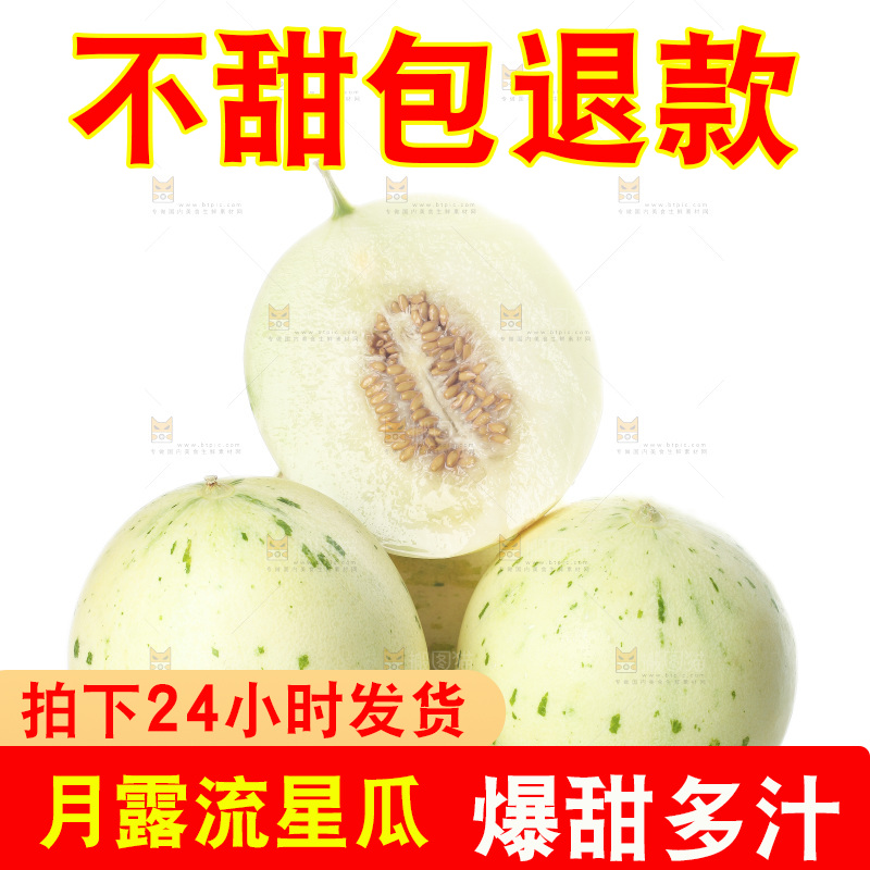 白底上的月露流星蜜瓜