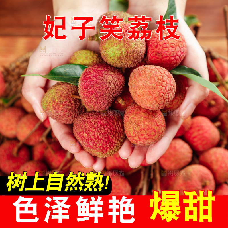 箱子里的妃子笑