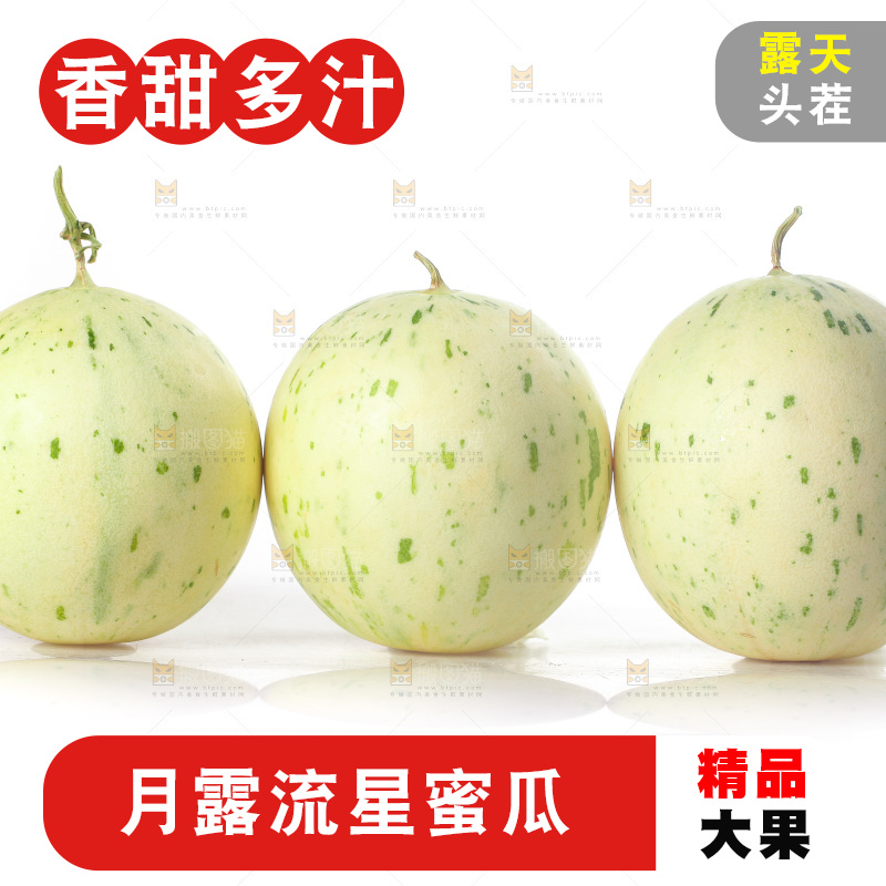 白底上的月露流星蜜瓜