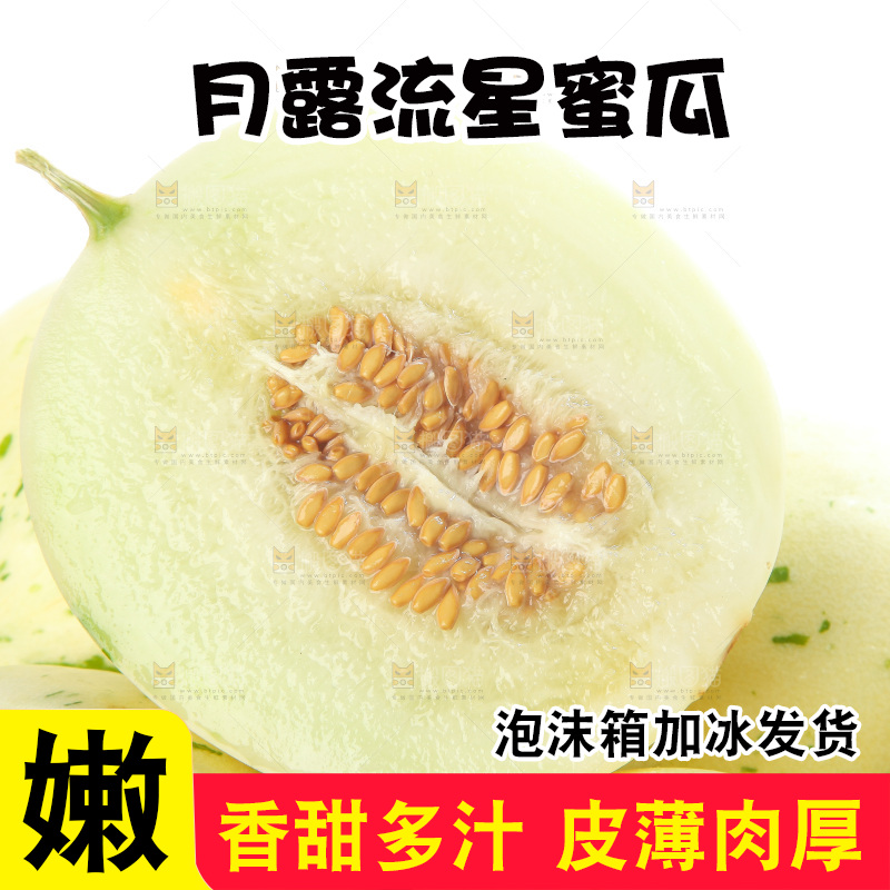白底上的月露流星蜜瓜