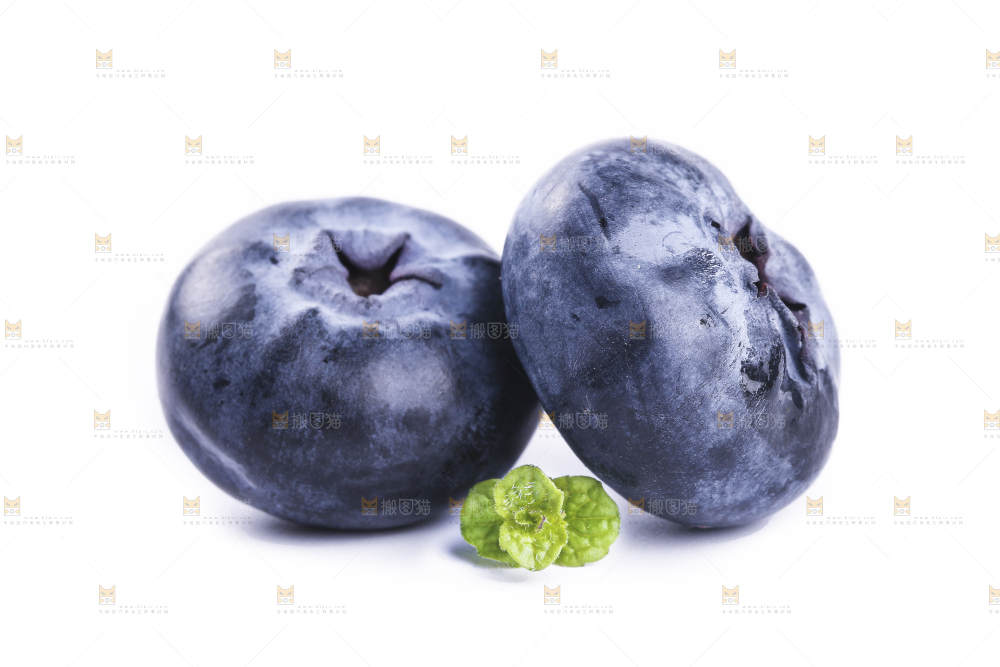 白底上的怡颗莓