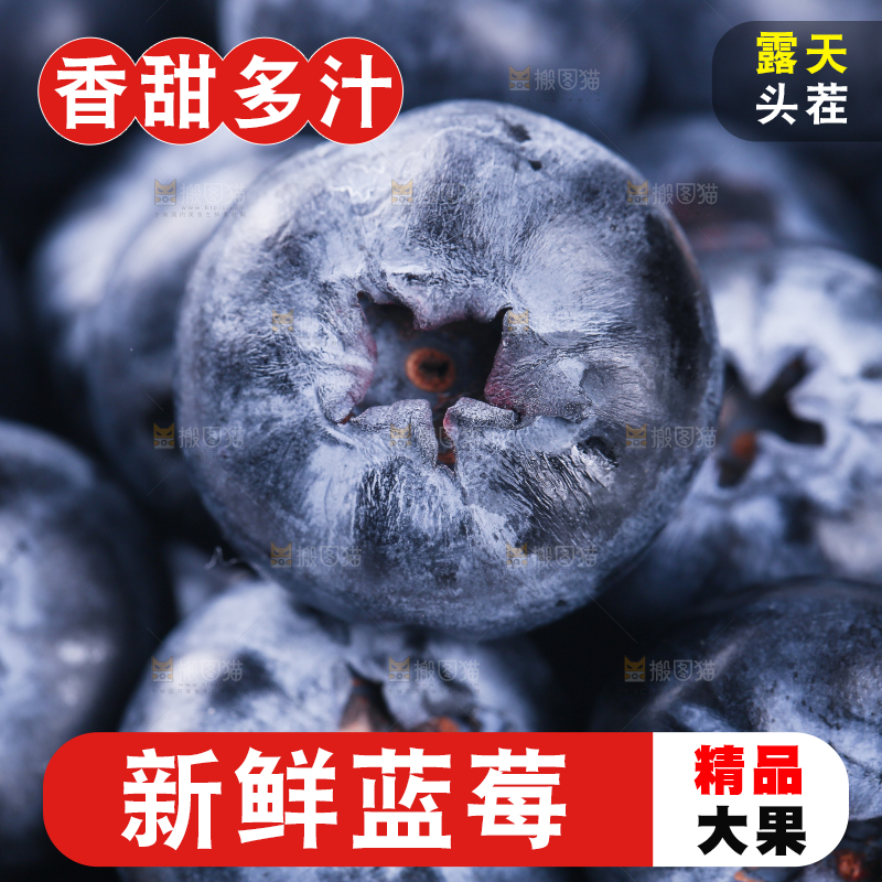 浅底上的怡颗莓