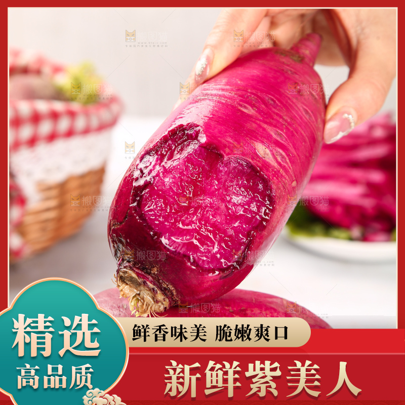 浅底上的紫美人萝卜