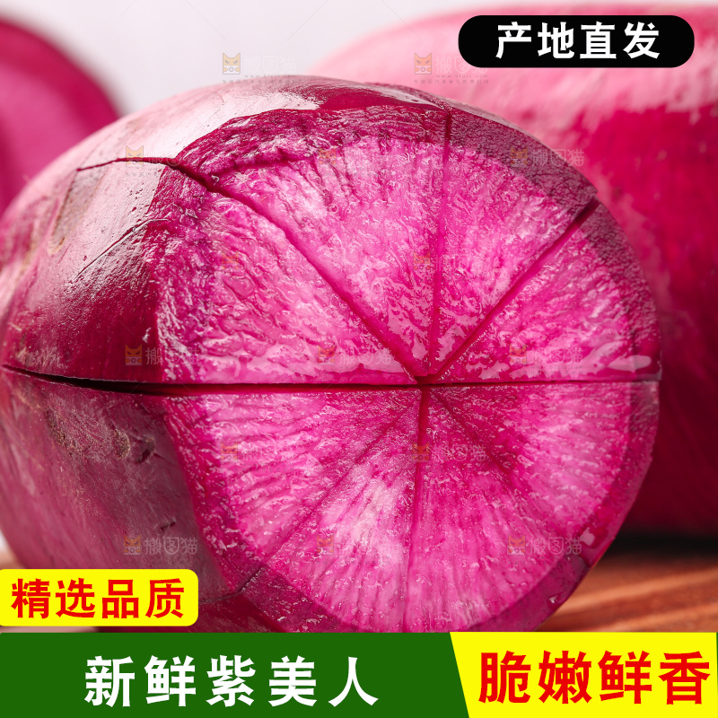 浅底上的紫美人萝卜