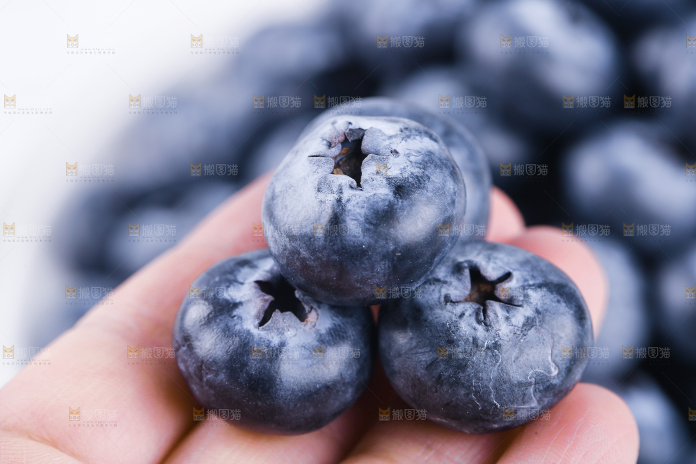 浅底上的怡颗莓