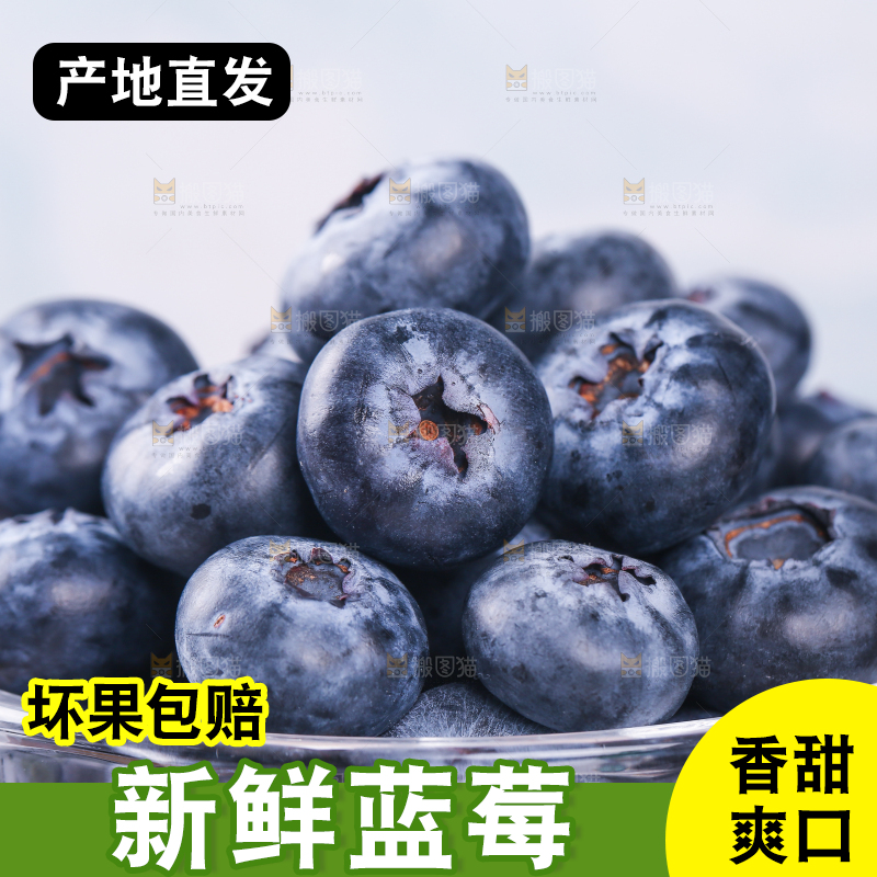 浅底上的怡颗莓