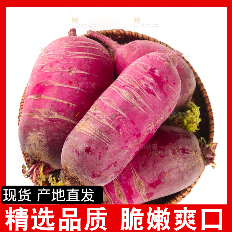 白底上的紫美人萝卜