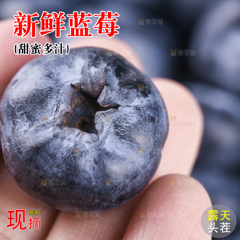 浅底上的怡颗莓