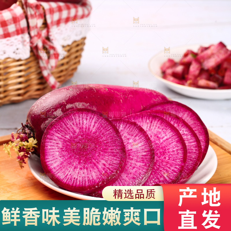 浅底上的紫美人萝卜