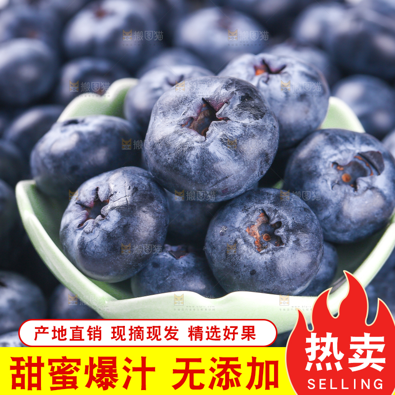 浅底上的怡颗莓
