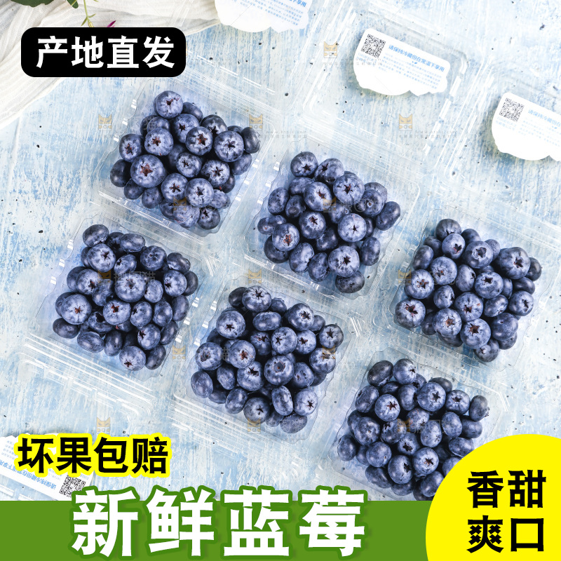 浅底上的怡颗莓