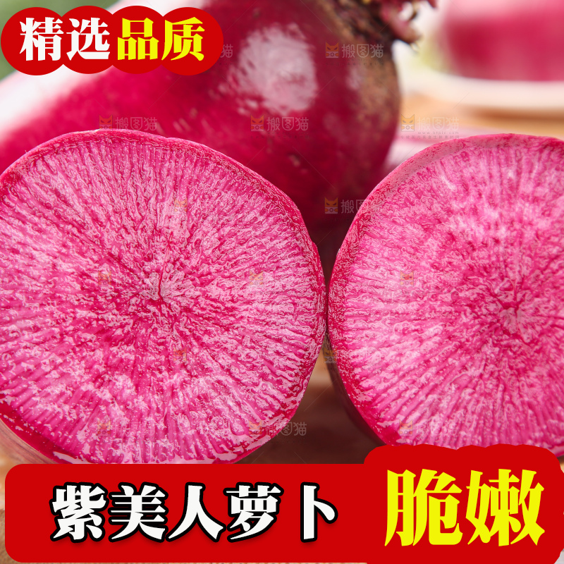 浅底上的紫美人萝卜
