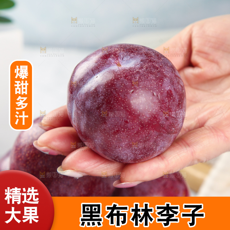 浅底上的黑布林李子