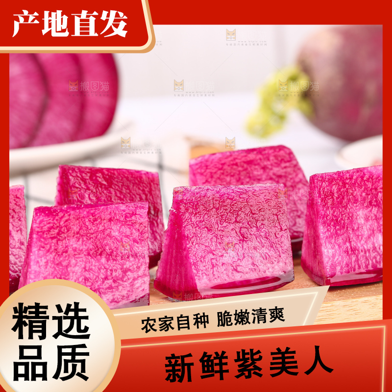 浅底上的紫美人萝卜
