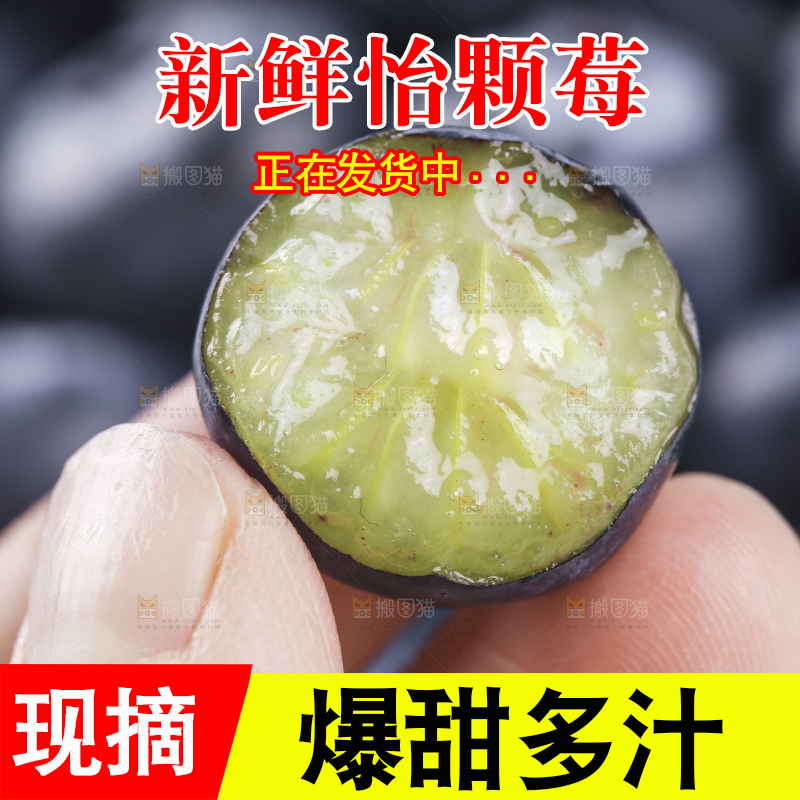 浅底上的怡颗莓