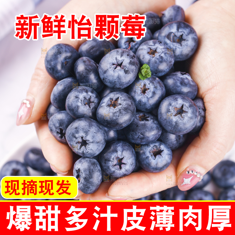浅底上的怡颗莓