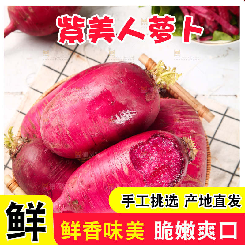 浅底上的紫美人萝卜