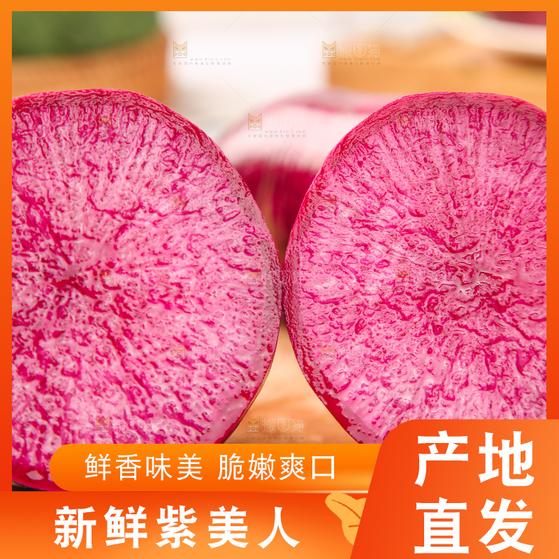 浅底上的紫美人萝卜