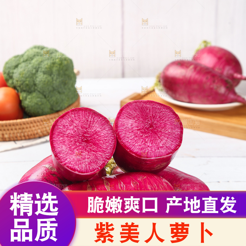 浅底上的紫美人萝卜