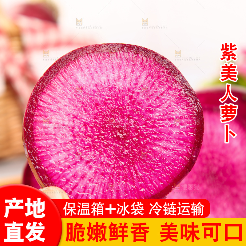 浅底上的紫美人萝卜