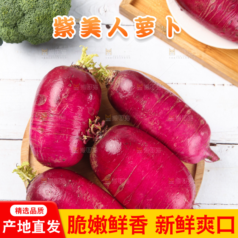 浅底上的紫美人萝卜