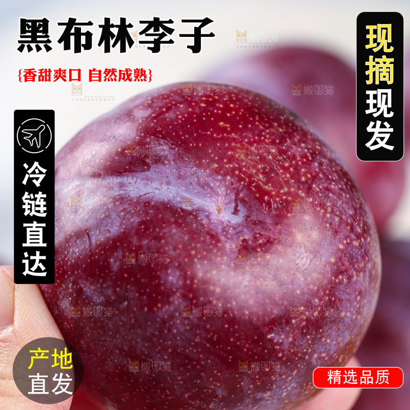 浅底上的黑布林李子
