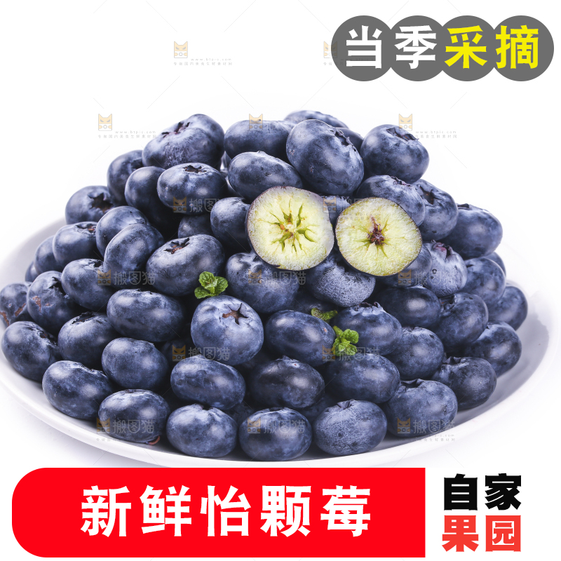 白底上的怡颗莓