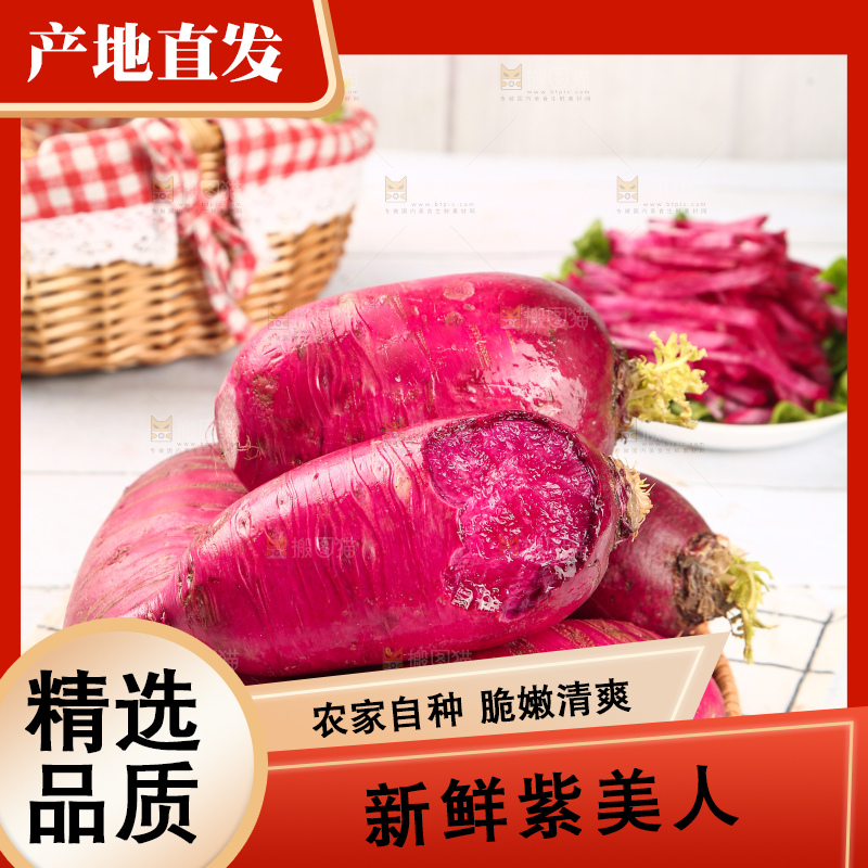 浅底上的紫美人萝卜