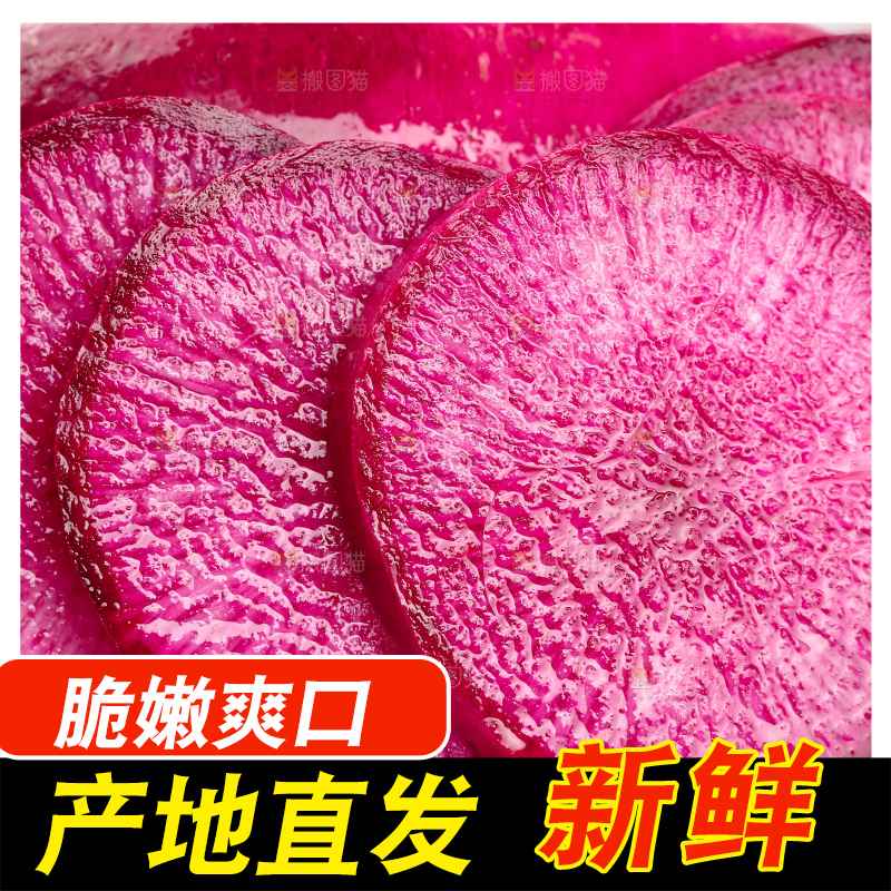 浅底上的紫美人萝卜