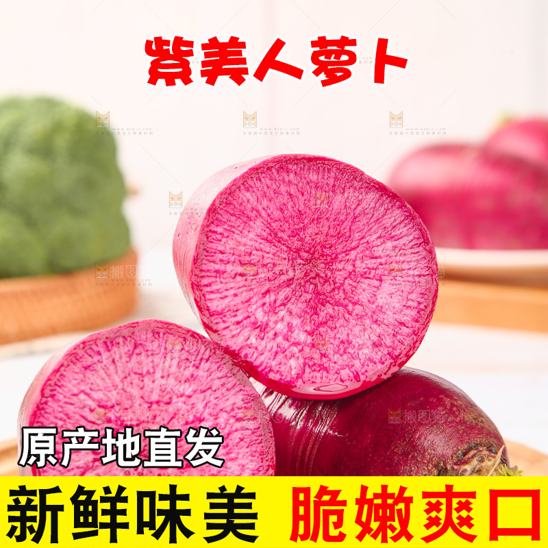 浅底上的紫美人萝卜