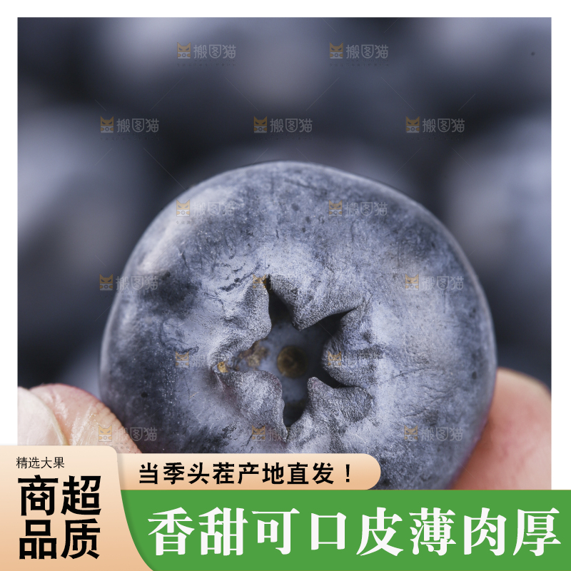 浅底上的怡颗莓