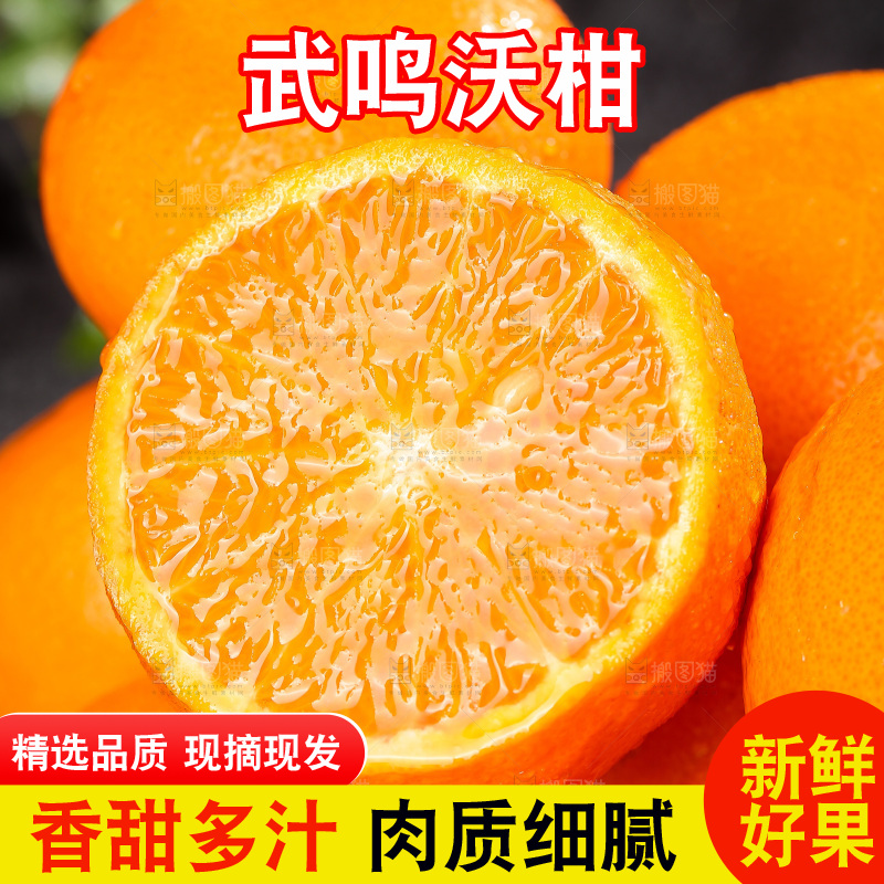 深底上的武鸣沃柑