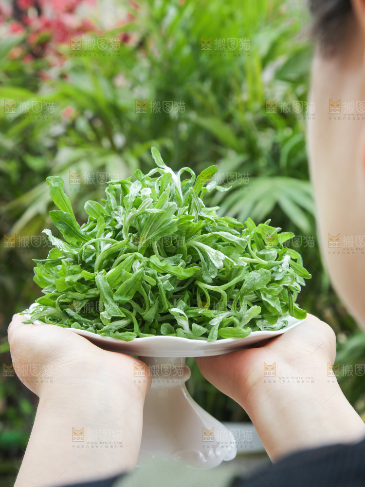 深底上的鼠曲草