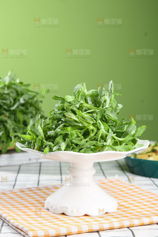 浅底上的鼠曲草