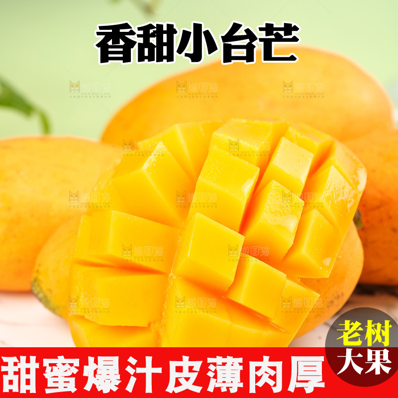 浅底上的小台芒