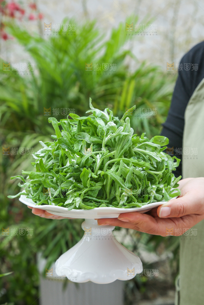 深底上的鼠曲草