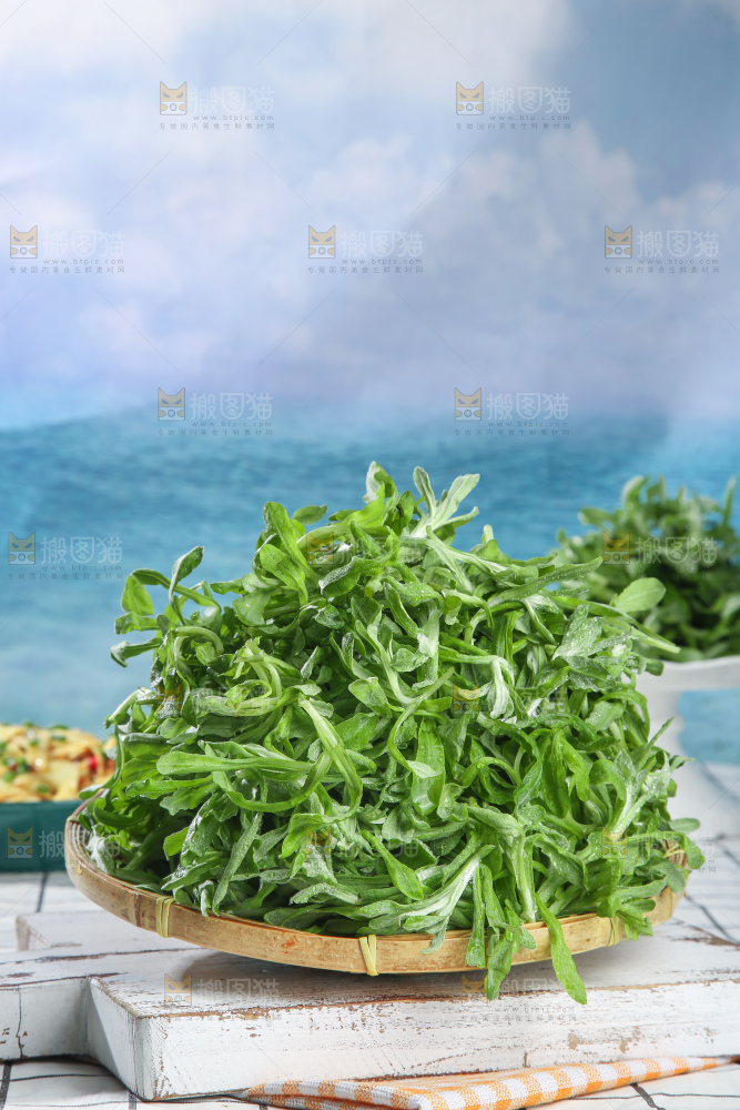 浅底上的鼠曲草