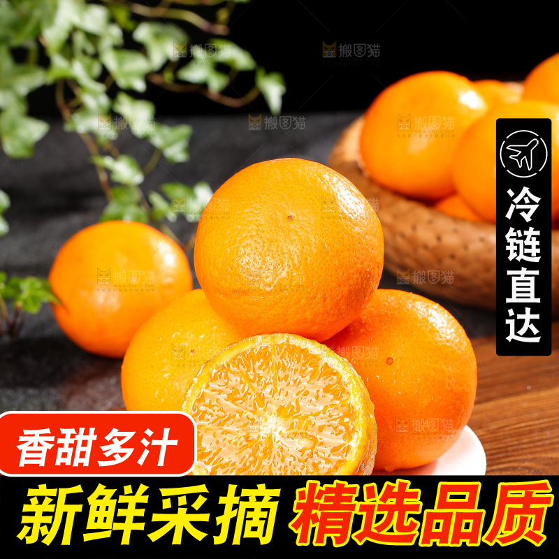 深底上的武鸣沃柑