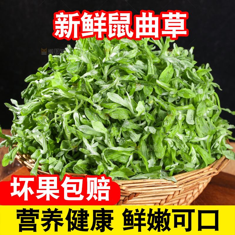 深底上的鼠曲草