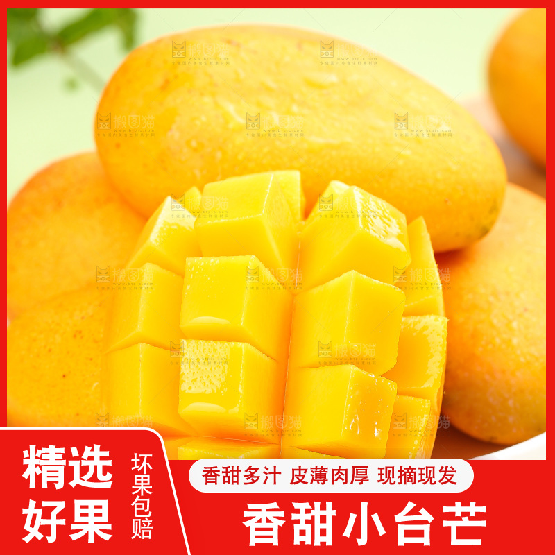 浅底上的小台芒