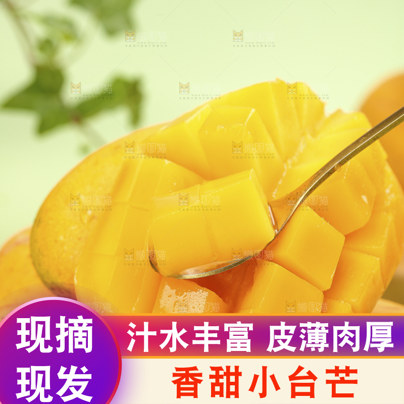 浅底上的小台芒
