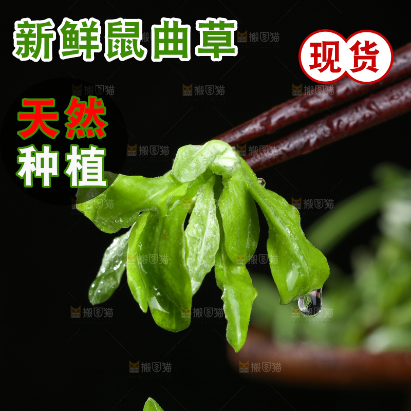 深底上的鼠曲草