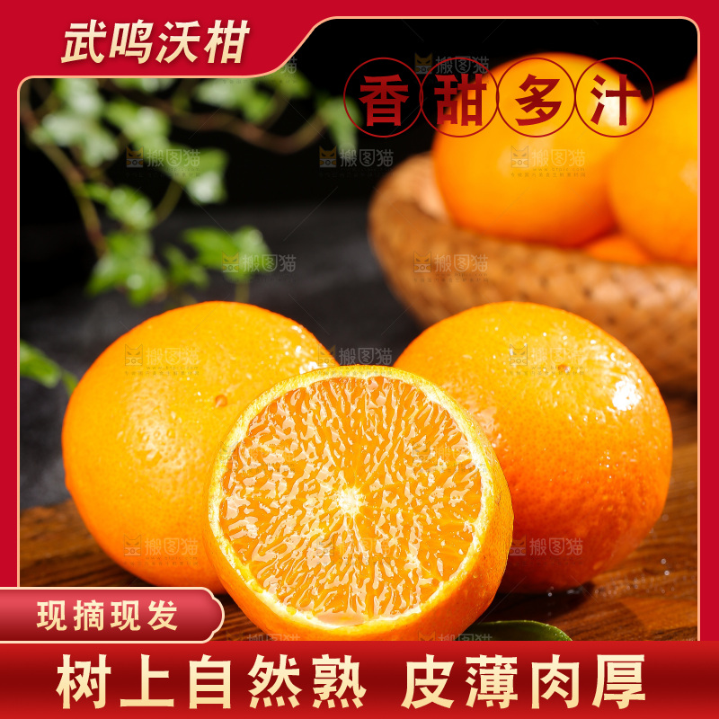 深底上的武鸣沃柑