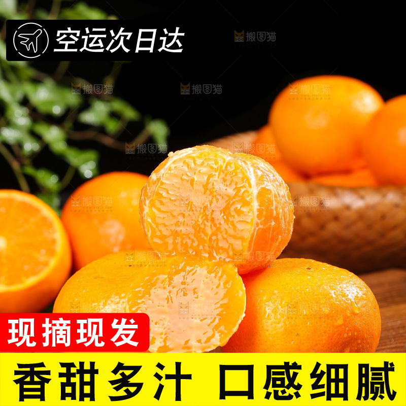 深底上的武鸣沃柑