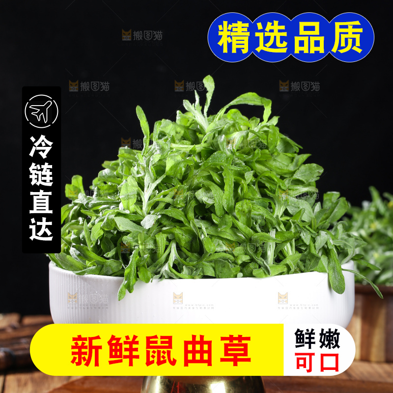 深底上的鼠曲草