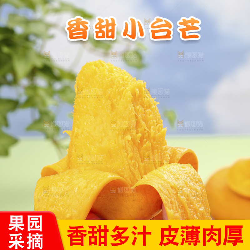 浅底上的小台芒