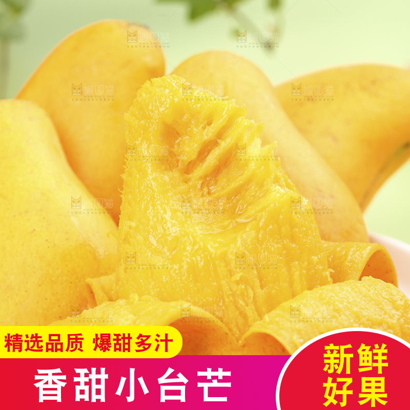 浅底上的小台芒
