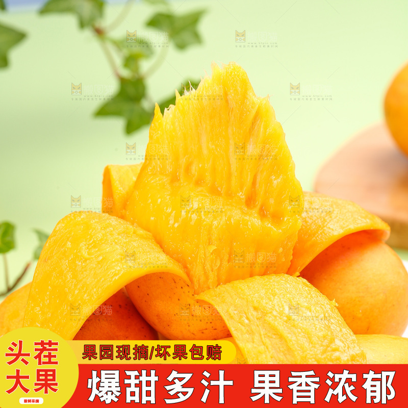 浅底上的小台芒