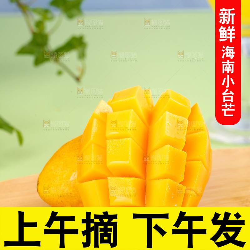 浅底上的小台芒