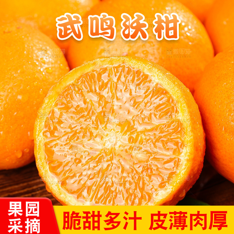 深底上的武鸣沃柑
